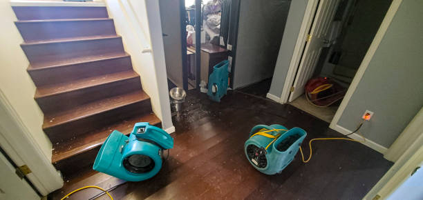 Best 24-hour water damage restoration  in Dolgeville, NY