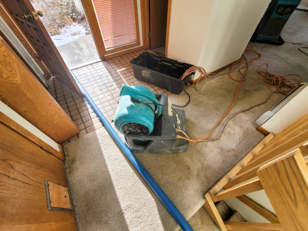 Best Flood restoration services  in Dolgeville, NY
