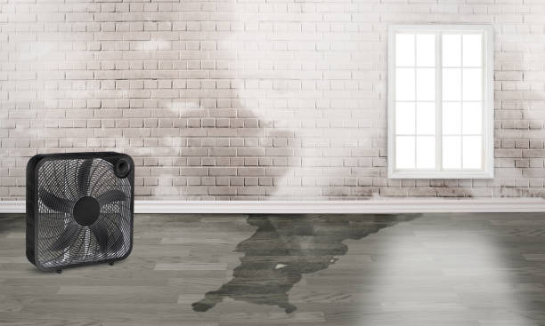 Best Residential water damage restoration  in Dolgeville, NY