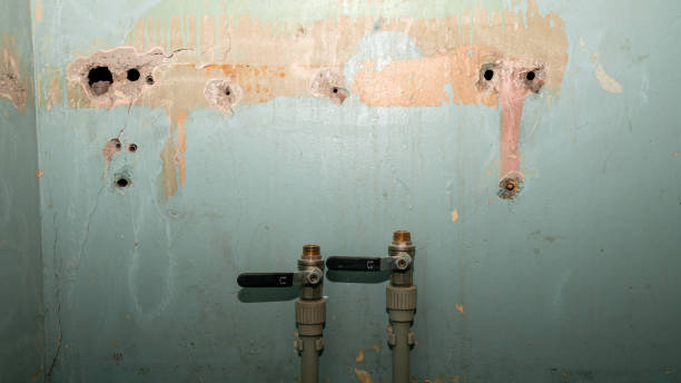 Best Water damage restoration experts  in Dolgeville, NY