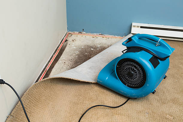Best Flood damage cleanup  in Dolgeville, NY